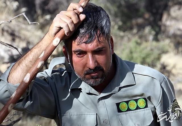 "ملکه ایران" سیاه بخت شد